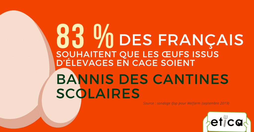 sondage cantines
